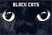 Black Cats